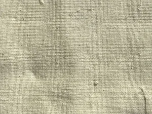 Creame Plain Greige 20s Pure Cotton Shitting Fabric (Wholesale)