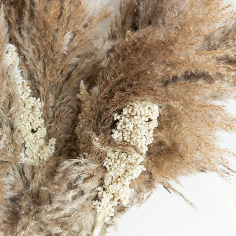 Sitto Brown Pampas And Corn Stick - Set Of Thirteen
