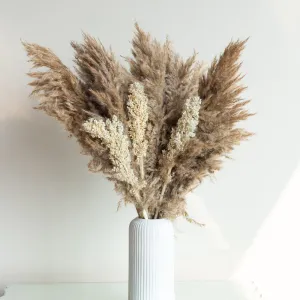 Sitto Brown Pampas And Corn Stick - Set Of Thirteen