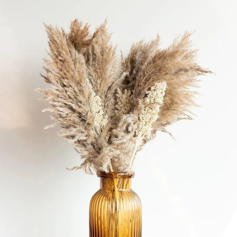 Sitto Brown Pampas And Corn Stick - Set Of Thirteen